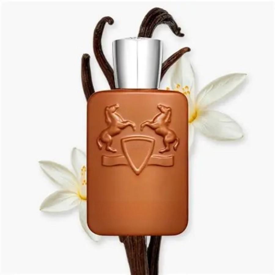عطر رجالي في زجاجة بنية سعة 12 - مراجعة Perfume Fragrance Dupe وسعره