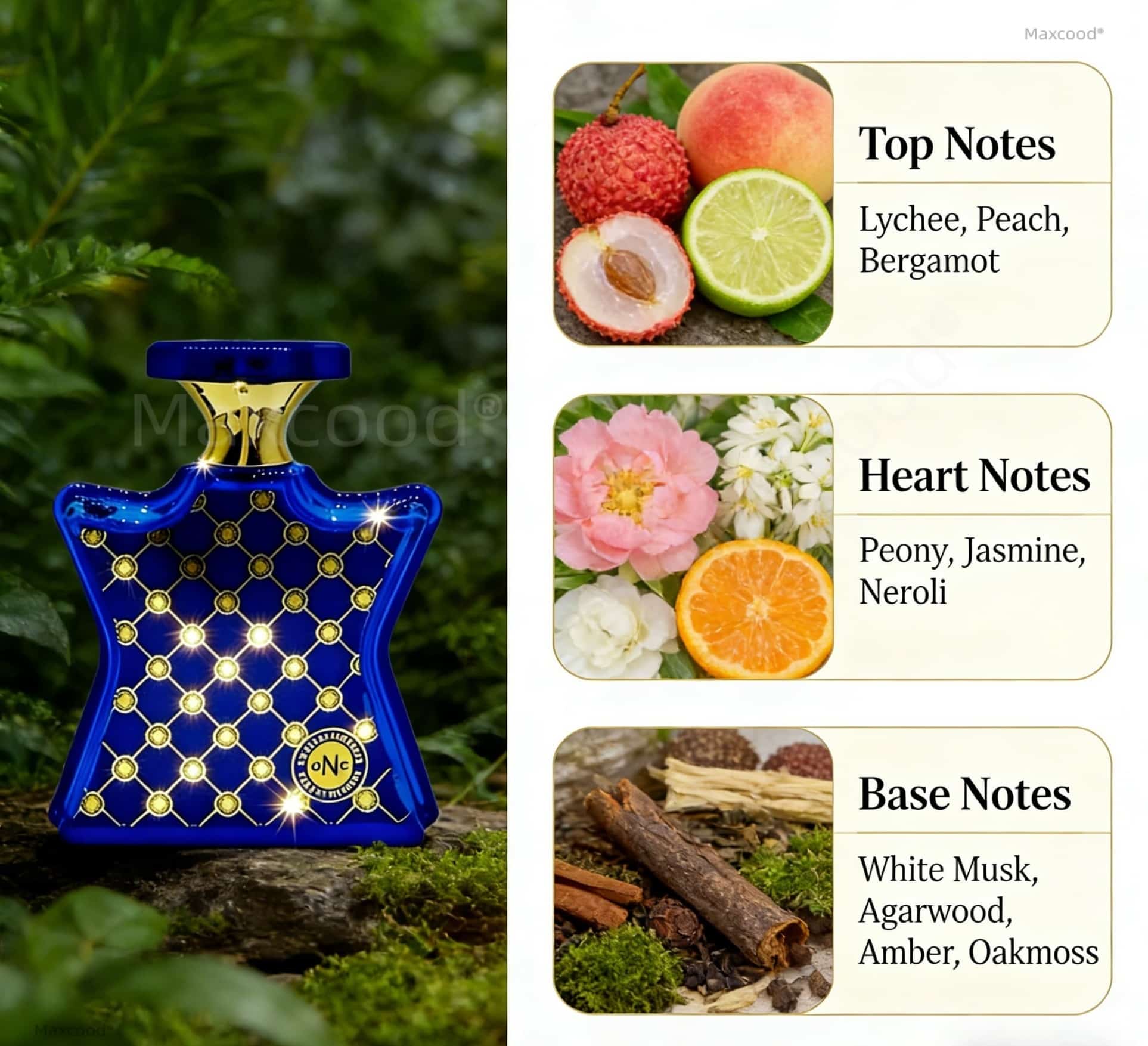عطر حمضيات وزهور يدوم طويلاً،  - مراجعة Perfume Fragrance Dupe وسعره
