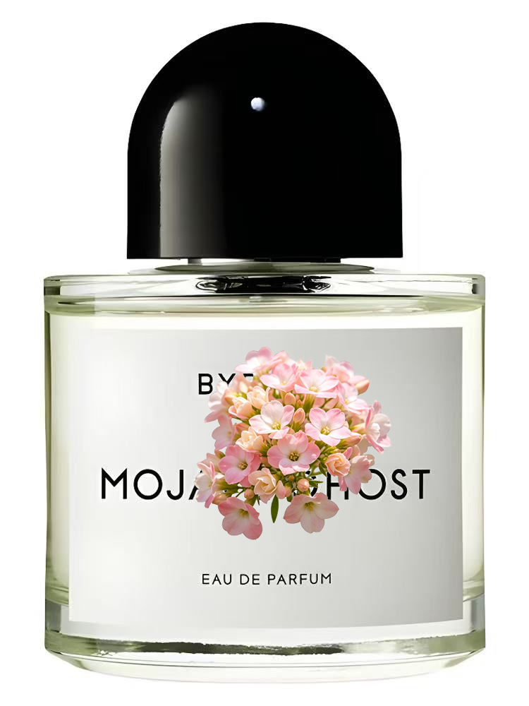 عطر للجنسين 100 مل 3.4 أونصة س - مراجعة Perfume Fragrance Dupe وسعره